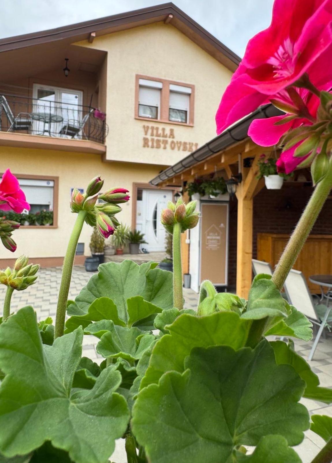 Villa Ristovski Ohrid Extérieur photo