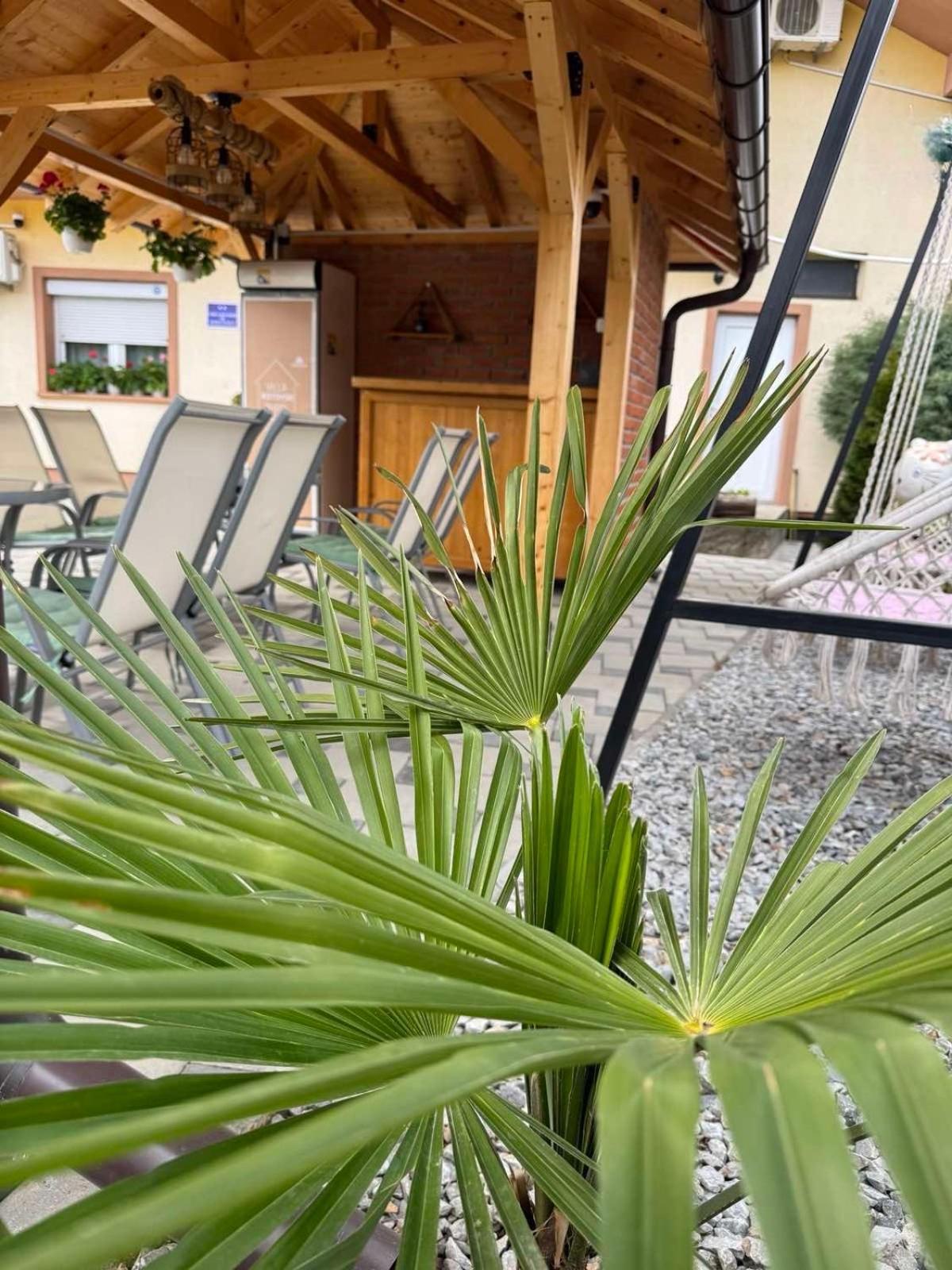 Villa Ristovski Ohrid Extérieur photo